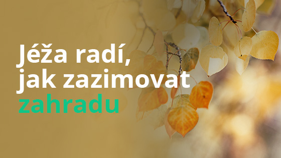 Jéža radí, jak zazimovat zahradu