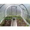 3509563 3 sklenik legi oregano 5