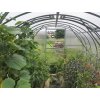 Zahradní skleník GARDENTEC CLASSIC Profi 8 x 3 m