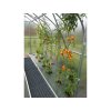Zahradní skleník Gardentec STANDARD 2 x 2,5 m
